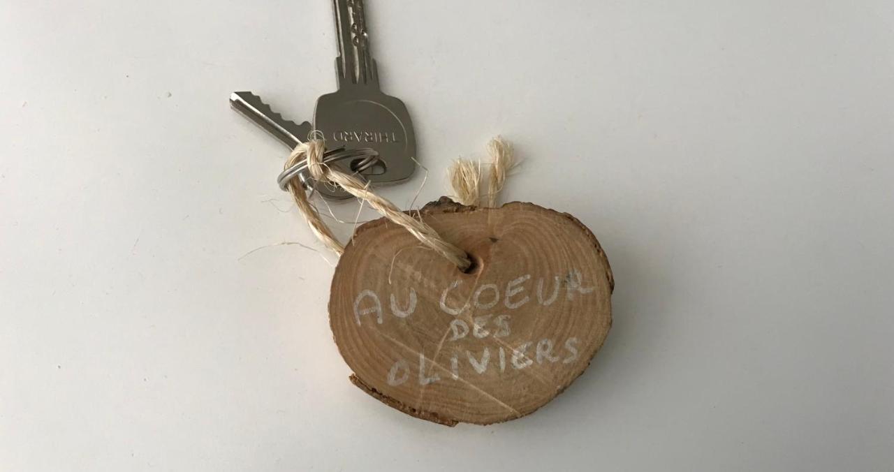 מרסיי Chambre D Hotes Au Coeur Des Oliviers מראה חיצוני תמונה